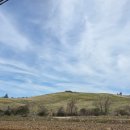 박해목장 | 서산여행 필수코스 한우목장 해미읍성. 해미국제성지길