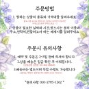 연이플라워 이미지