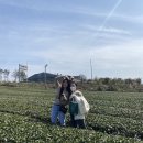 제주에산다면 이미지