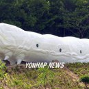 영천양잠협동조합 이미지