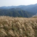 하이원주유소 이미지