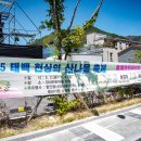 2025년 태백 천상의 산나물 축제 방문 후기
