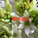인생신호등 Daum카페