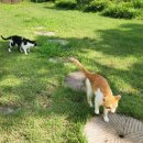 아니타 홈 이미지