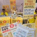 조회수 2000회 서울 세텍 펫쇼 꿀팁 증정 모음