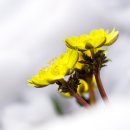 생각정리 글쓰기 이미지