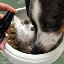 스니피드(SNIFFEED) 이미지