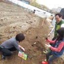 사랑농장 2 이미지