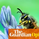 Full of jo 이미지