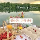 윈터리플라워