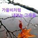 ☔가을 비 우산 속 이미지