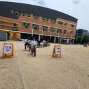 양강초교 이미지