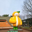 남성주참외(창원) 이미지