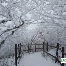 (주)점핑파크 이미지