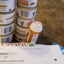 순수동물병원 이미지