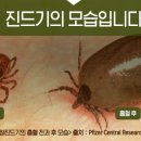 미사 센트럴 동물병원 이미지