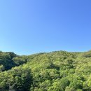 나만의풍경 캠핑&펜션 | 내돈내산 홍천 고흐와해바라기 펜션 재방문각(캠핑 바베큐, 홍천강 래프팅 물놀이)