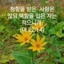 성구 네이버블로그