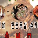 로뎀스토어 이미지