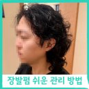 헤어디자인모습 홍대점
