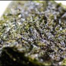 한강집생태 이미지