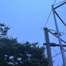 와싸다짱마켓 | July !