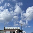 제주목화 이미지