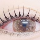 감삼동324 이미지