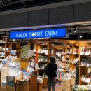후쿠오카 칼디 추천템 후기 ♪ 텐진 지하상가 KALDI 쇼핑리스트