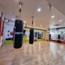 드림복싱클럽 이미지