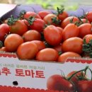 조성위탁영농 이미지