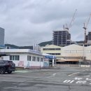 사하구 을숙도대로 | 한국교통안전공단 부산 사하자동차검사소 정기검사 후기