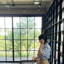 경포힐링하우스 | 강릉 카페 추천 경포호 근처 대형 카페 테라로사 경포호수점 내돈내산 후기