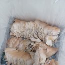 (주)송정정비 이미지