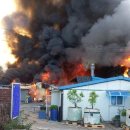 경북수지 이미지