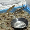 무궁화떡집 - 영광군 신남로 212-1 | 무궁화떡집