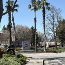 427호선 | 실리콘밸리 숙소 "Radisson Hotel Sunnyvale - Silicon Valley" 4박 5일 숙박 후기 feat. NVIDIA GTC 숙소