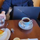 고기담고정담는푸줏간 | 일본 소도시 시즈오카 뚜벅이 여행 Day2. ㅣSEKITORI 버스로 '가와구치코' 당일치기