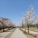 덕분이야모든개 이미지