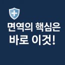 🛡️ 면역의 핵심은 바로 이것! 림프의 힘!!! 이미지