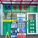 에스에스(SS) 이미지