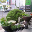 청해회타운