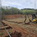 미니미니호계 | 🍎 문경도담미니중기 호계 구산리 사과밭 작업 후기 (2000평 / 500주)