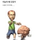 섬그늘 | 해피올드이어