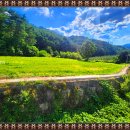 소로리 농장 이미지