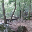 캠핑스쿨 이미지