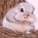 동방슈퍼 이미지