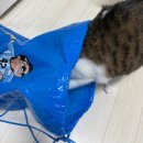 몸몸몸 | 2025 싸이 흠뻑쇼 스탠딩SR 가 구역 후기 (+꿀팁) , 250802