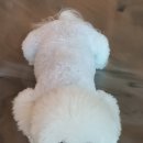 어라운드1142 이미지