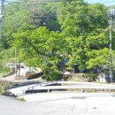 목석죽 이미지